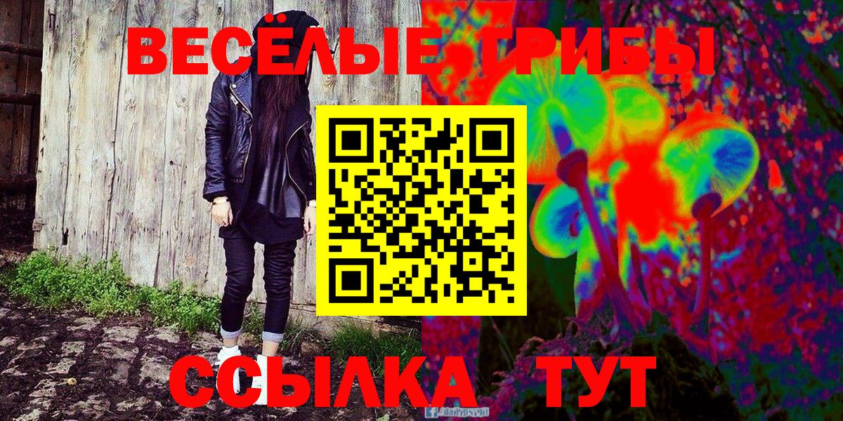 Псилоцибиновые грибы GOLDEN TEACHER  сколько стоит  Псилоцибиновые грибы ЛСД  Сухой Лог  Вход с VPN 